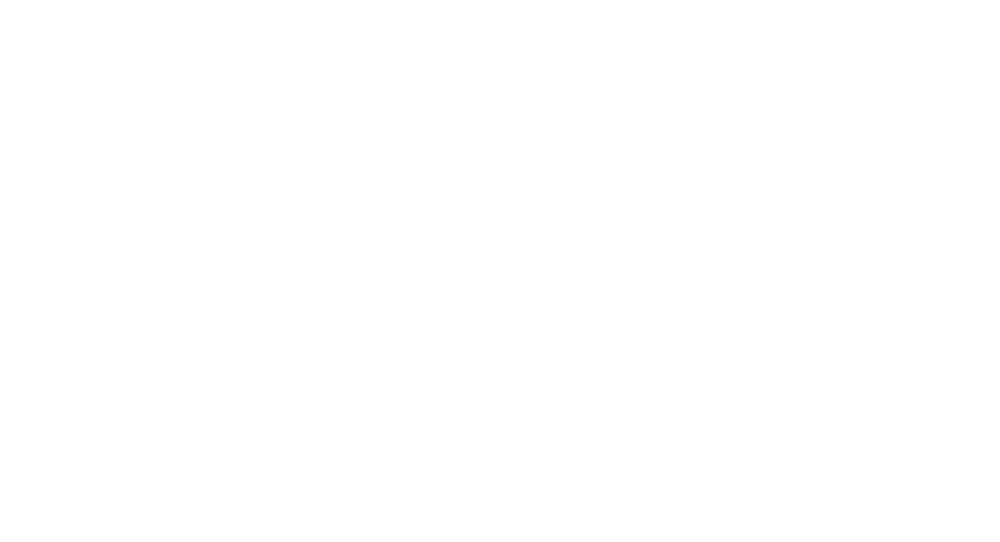 mr doors
